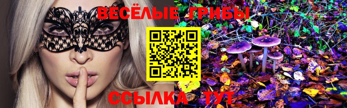 Псилоцибиновые грибы Psilocybine cubensis  Вход с VPN  Галлюциногенные грибы MAGIC MUSHROOMS  Коломна 